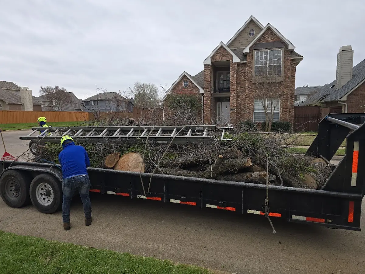Expert Tree Pest Control with proper safety equipment in Charleston
